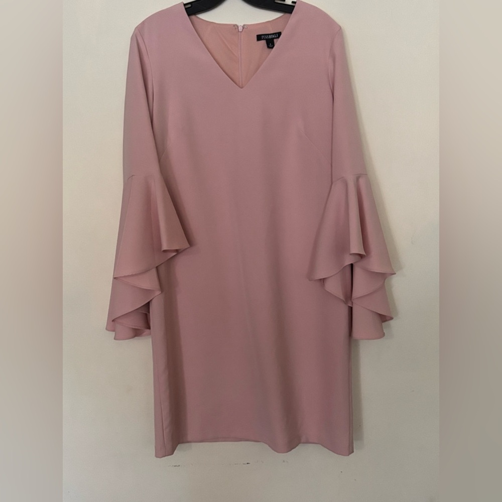 Roz & Ali Blush Long Sleeve Dress V-Neck